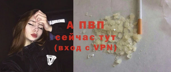 шишки Абаза