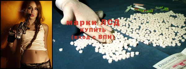 шишки Абаза