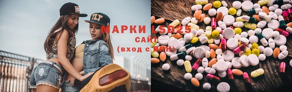 прущие грибы Нея