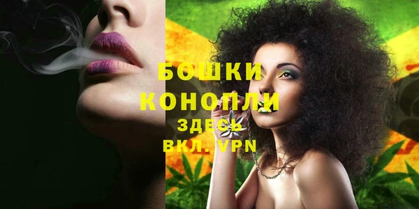 шишки Абаза